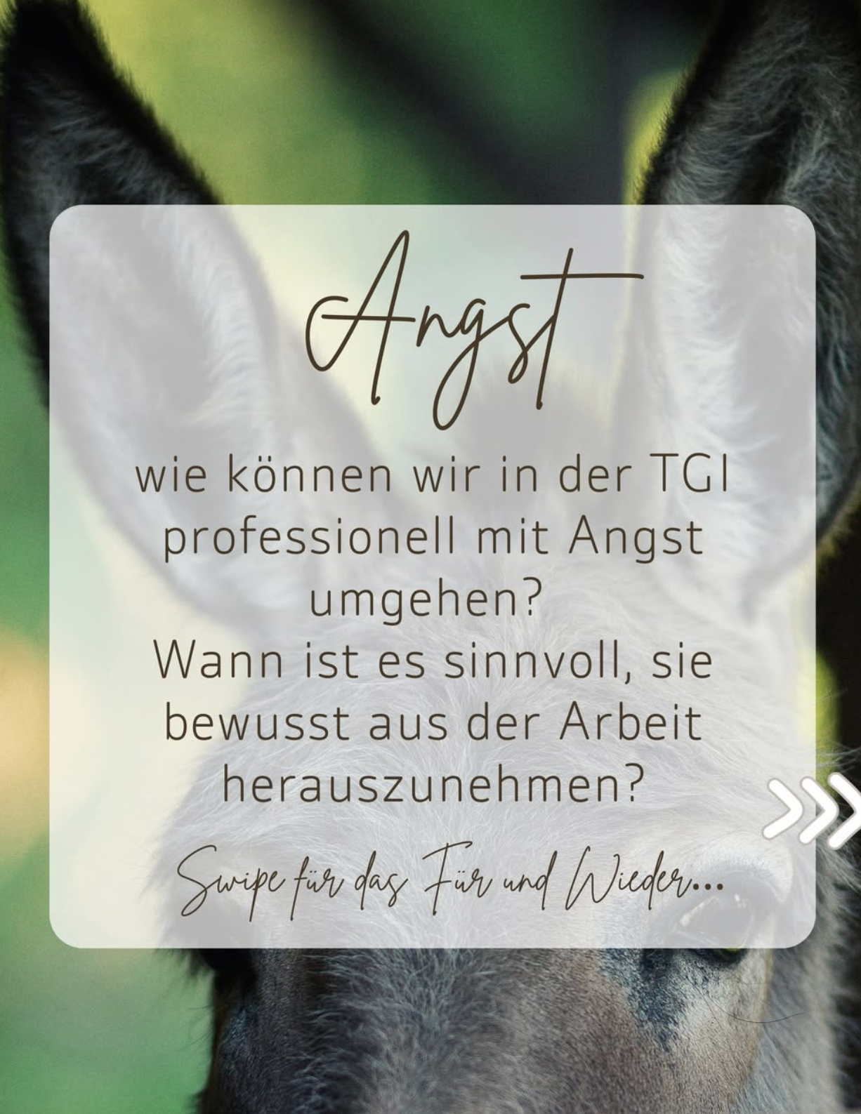 Bildschirmfoto 2026-02-22 um 18.25.23