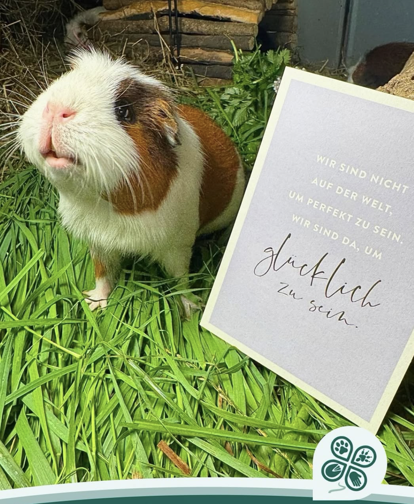 Bildschirmfoto 2026-02-22 um 18.34.21